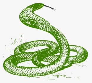 Green Snake Svg Clip Arts - Cobra Snake Drawing, HD Png Download, Transparent PNG