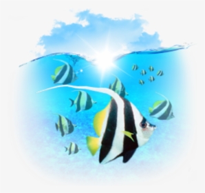 Marine Biology Clipart Computer Icons Clip Art - Portable Network Graphics, HD Png Download, Transparent PNG