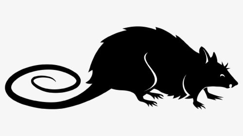 Rat, HD Png Download, Transparent PNG