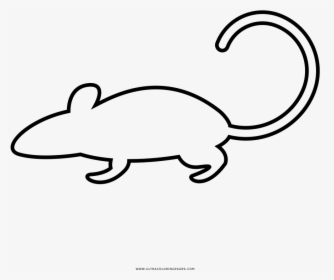 Rat Coloring Page - Line Art, HD Png Download, Transparent PNG
