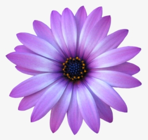 #spring #flower #flowers #flores #flor #primavera #tumblr - Marketing Principles William M Pride, HD Png Download, Transparent PNG