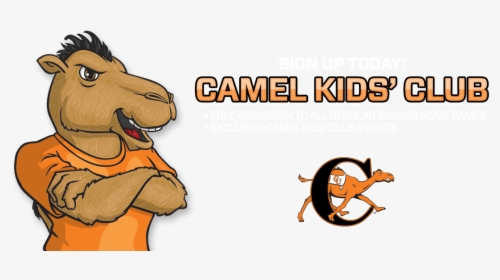 Campbell Fighting Camels And Lady Camels , Png Download, Transparent Png, Transparent PNG