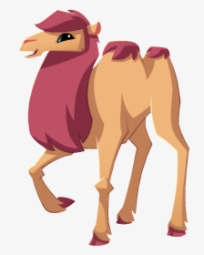 Camel, HD Png Download, Transparent PNG