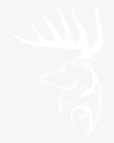 Transparent Deer Rack Png - Elk, Png Download, Transparent PNG