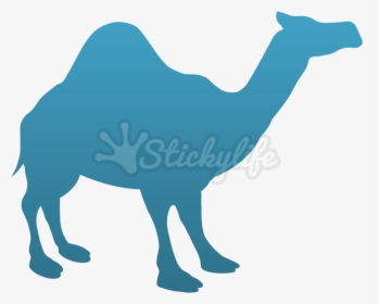 Camel Temporary Tattoo - Arabian Camel, HD Png Download, Transparent PNG