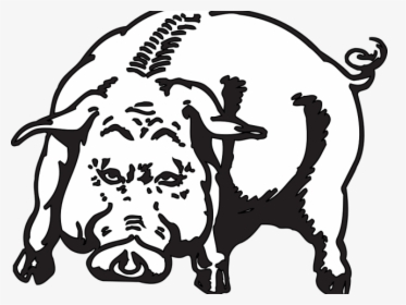 Skull Clipart Wild Boar - Angry Hog Png, Transparent Png, Transparent PNG