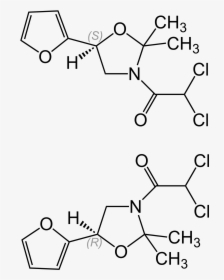 Dimethyl Tere Phthalate Structure, HD Png Download, Transparent PNG