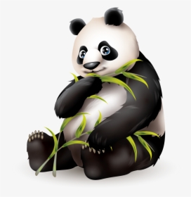 Panda Fur - Zoo Animals In Japanese, HD Png Download, Transparent PNG
