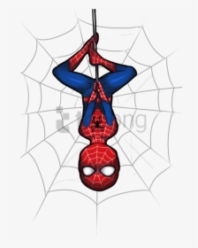 Free Png Download Spiderman Spider Web Png Images Background - Clipart Spiderman, Transparent Png, Transparent PNG