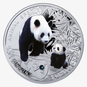 Niue 2014 1$ Giant Panda - Animales En Peligro De Extincion Png, Transparent Png, Transparent PNG