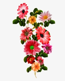 Vector,flower,vector Art,flower Vector,vector Flower - Flowers Vector Art, HD Png Download, Transparent PNG