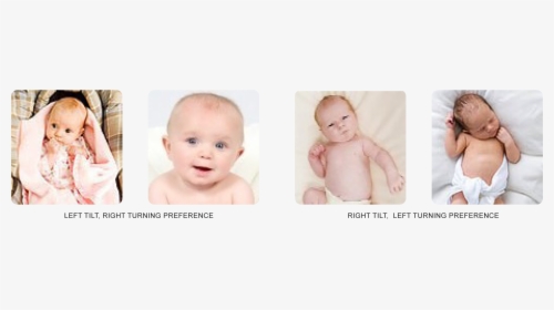 Headposturepreferences3 - Baby, HD Png Download, Transparent PNG
