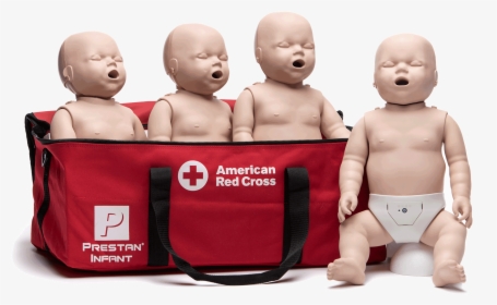 Prestan Infant Manikins With Cpr Monitors - Baby, HD Png Download, Transparent PNG
