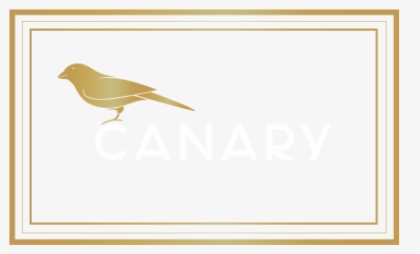 Transparent White Canary Png - Emberizidae, Png Download, Transparent PNG