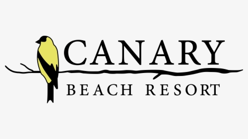 Transparent White Canary Png - Logo Canary Beach Resort, Png Download, Transparent PNG
