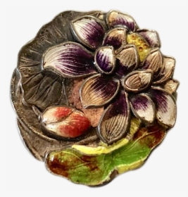 Eggplant, HD Png Download, Transparent PNG