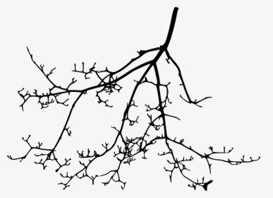 Tree Branch Silhouette Transparent Vol Png Sleek Silhouette - Line Art, Png Download, Transparent PNG