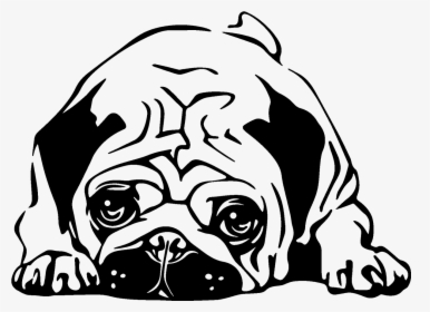 Transparent Vinilo Png - Printable Black And White Pug Dog, Png Download, Transparent PNG