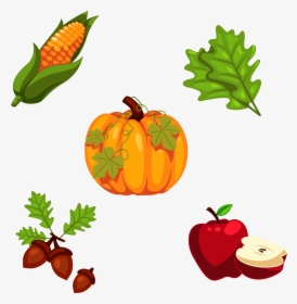 Thanksgiving Pumpkin Png - Cartoon Pumpkin With Leaves, Transparent Png, Transparent PNG