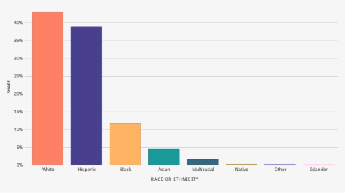 Bar Chart For Ethnicity, HD Png Download, Transparent PNG