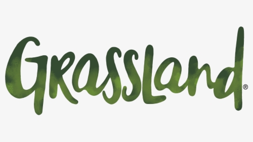 Transparent Gmo Free Png - Calligraphy, Png Download, Transparent PNG