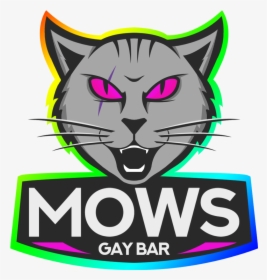Mowie Co Czuje Rojo, HD Png Download, Transparent PNG