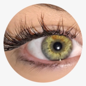 Eyelash Extentions - Eye Shadow, HD Png Download, Transparent PNG