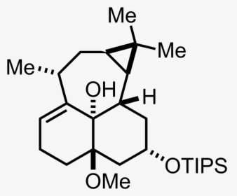 Intermediate Structure - 6 Demethyl 6 Deoxytetracycline, HD Png Download, Transparent PNG