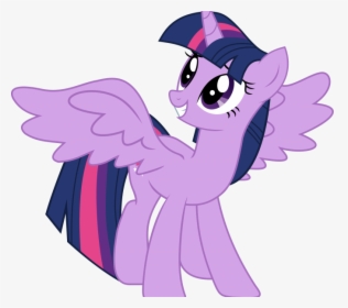 Little Pony Cliparts - Twilight Sparkle My Little Pony Princess, HD Png Download, Transparent PNG