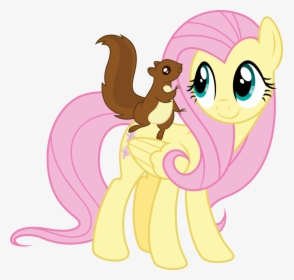 My Little Pony Clipart Squirrel - Squirrel Is On Fluttershy, HD Png Download, Transparent PNG