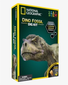 Real Dinosaur Fossil Dig Kit - National Geographic Dino Fossil Dig Kit, HD Png Download, Transparent PNG