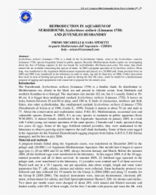Document, HD Png Download, Transparent PNG