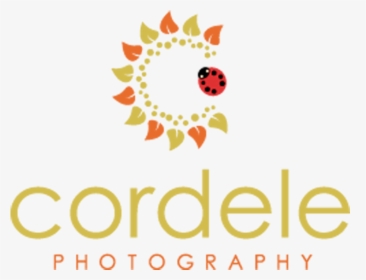 Cordele Photography - Bridgebio Pharma Logo, HD Png Download, Transparent PNG