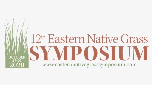 Eastern Native Grass Symposium - Graphic Design, HD Png Download, Transparent PNG