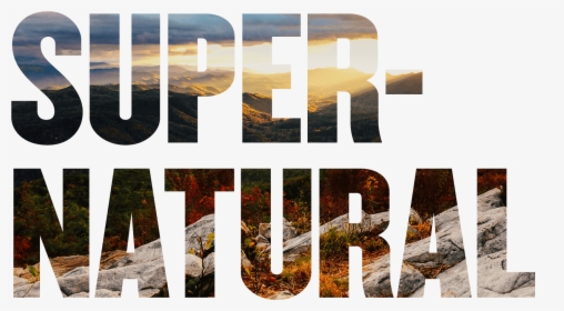 Super Natural - Plywood, HD Png Download, Transparent PNG