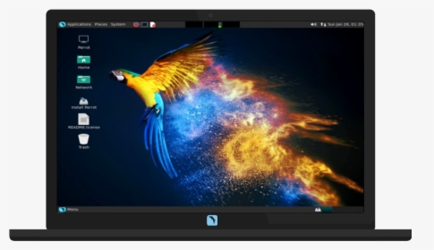 Parrot Linux, HD Png Download, Transparent PNG