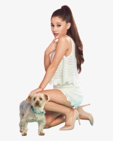 Dog,dog Breed,sitting,leg,puppy Model,long Hair,photo - Ariana Grande Christmas Edits, HD Png Download, Transparent PNG