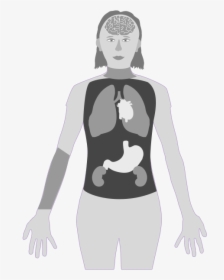 Mercury In Body System, HD Png Download, Transparent PNG