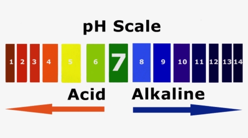 Alkaline Water Is Water With A Ph Level Greater Than - Model Of Ph Scale, HD Png Download, Transparent PNG