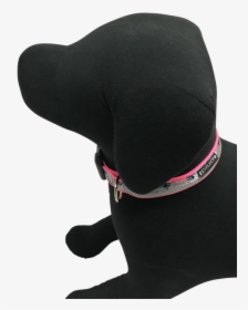 New England Patriots Dog Collar - Baseball Cap, HD Png Download, Transparent PNG