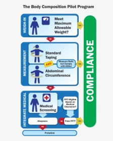 Coast Guard Weight Standards 2019, HD Png Download, Transparent PNG