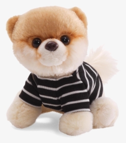 Dog Png Images Transparent Free Download - Boo The World's Cutest Dog Gund, Png Download, Transparent PNG