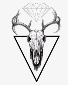 Transparent Find Us On Facebook Transparent Png - Deer Skull Ink Drawing, Png Download, Transparent PNG