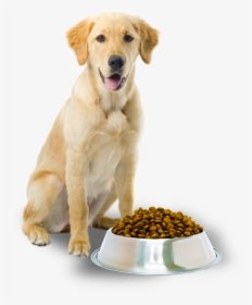 Dog With Dog Food, HD Png Download, Transparent PNG