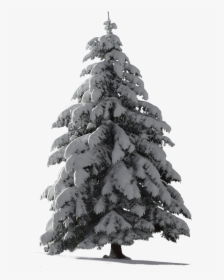 Christmas Png Picsart - Pine Tree Snow Png, Transparent Png, Transparent PNG