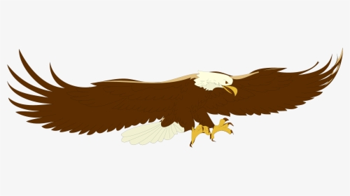 Image Library Library Bald Clipart Free Clipartix - Flying Eagle Clip Art, HD Png Download, Transparent PNG