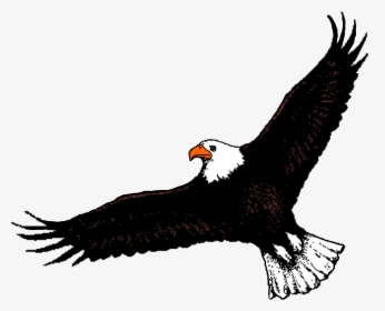 Bald Eagle Clipart Flight Clipart - Eagle Flying Clip Art, HD Png Download, Transparent PNG