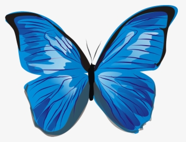 Blue Butterfly Png Image - Blue Butterfly Clipart Png, Transparent Png, Transparent PNG