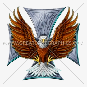 Transparent Flying Eagle Clipart - Bald Eagle, HD Png Download, Transparent PNG