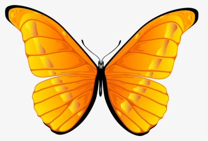 Orange Butterfly Png Clip Art Clipart 7000 4739 Bbq - Butterfly Clipart Png, Transparent Png, Transparent PNG
